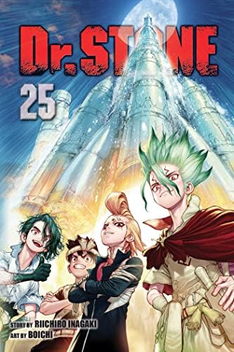 Amazon.com: Dr. STONE, Vol. 22: Our Stone World: 9781974732166